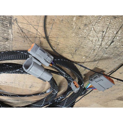 Speed Science B Series FT450 Jumper Harness