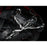 AWE Tuning 2023+ Toyota GR Corolla Track Edition Exhaust