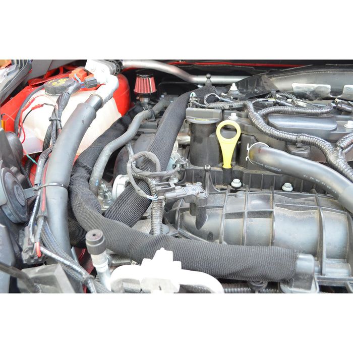 Damond Motorsports-Fiesta ST Oil Catch Can kit- at Damond Motorsports