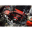 Damond Motorsports-Focus ST/RS Transmission Mount- at Damond Motorsports