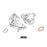 ARTEC Turbo Outlet Gasket for Toyota G16E-GTS