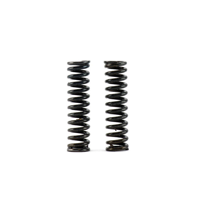 Hybrid Racing Heavy Duty Transmission Detent Springs - K20C/L15