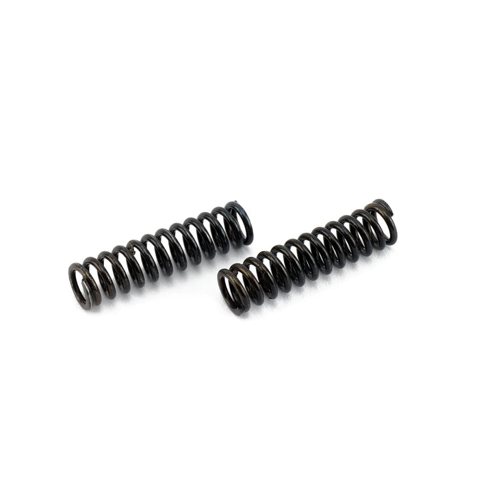 Hybrid Racing Heavy Duty Transmission Detent Springs - K20C/L15