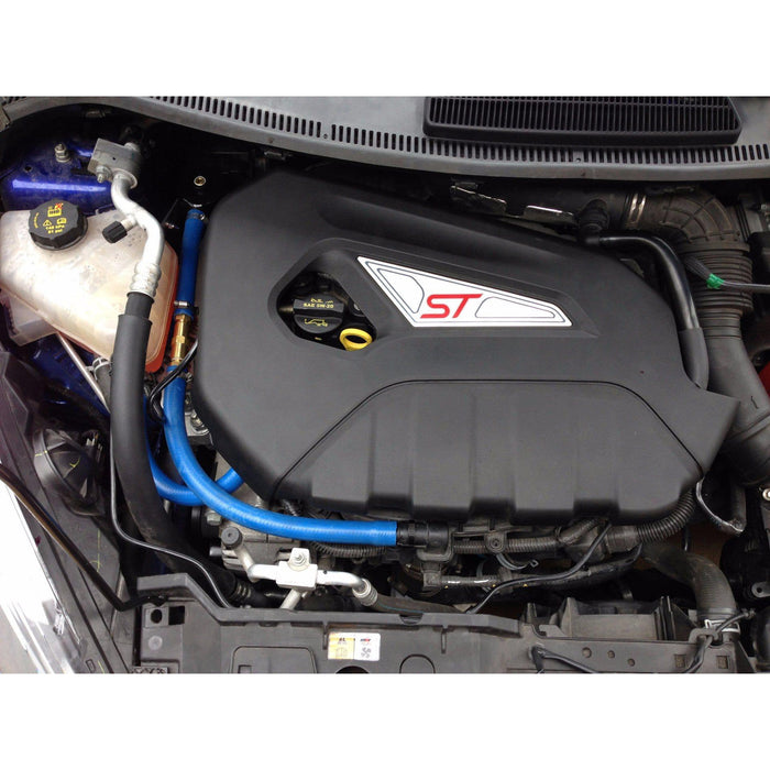 Damond Motorsports-Fiesta ST Oil Catch Can kit- at Damond Motorsports