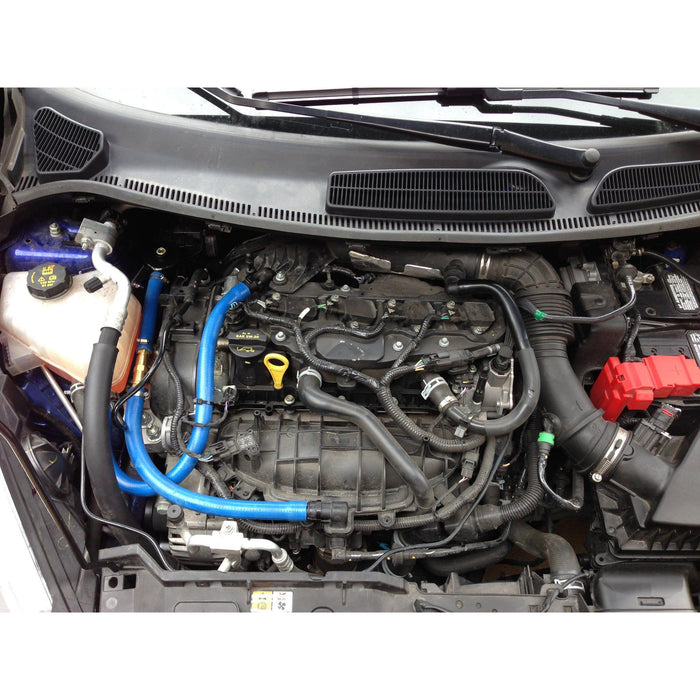 Damond Motorsports-Fiesta ST Oil Catch Can kit- at Damond Motorsports