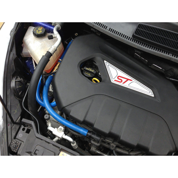 Damond Motorsports-Fiesta ST Oil Catch Can kit- at Damond Motorsports