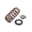 APR Audi/Bentley/Lamborghini/Porsche/Volkswagen Valve Spring Kit - Single