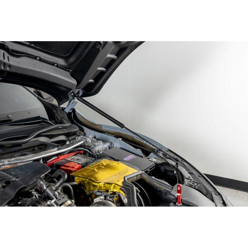 OLM Carbon Fiber Wrapped Hood Struts - 2017-2021 Honda Civic Type R