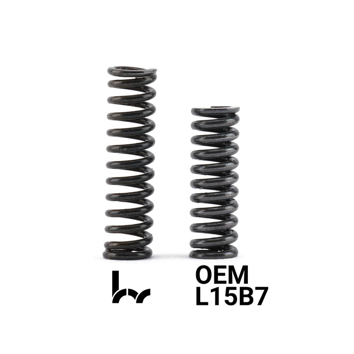 Hybrid Racing Heavy Duty Transmission Detent Springs - K20C/L15