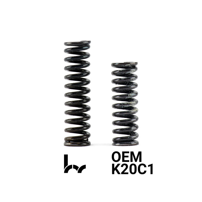 Hybrid Racing Heavy Duty Transmission Detent Springs - K20C/L15