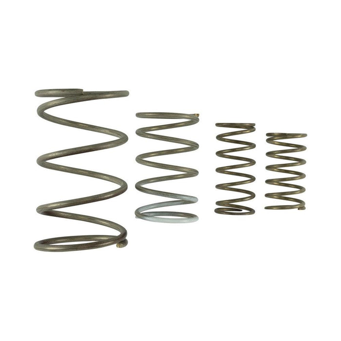 Turbosmart GenV WG60 Spring Replacement Kit