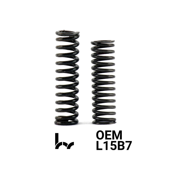 Hybrid Racing Heavy Duty Transmission Detent Springs - K20C/L15