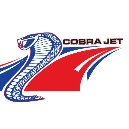 Aeromotive Cobra Jet Engine Kit