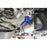 Hardrace Rear Subframe Brace Toyota, Corolla/Altis/Auris, Altis E210 18-