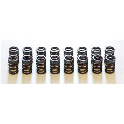 HKS 91-00 Infiniti G20 SR20DET Outer Valve Spring Set