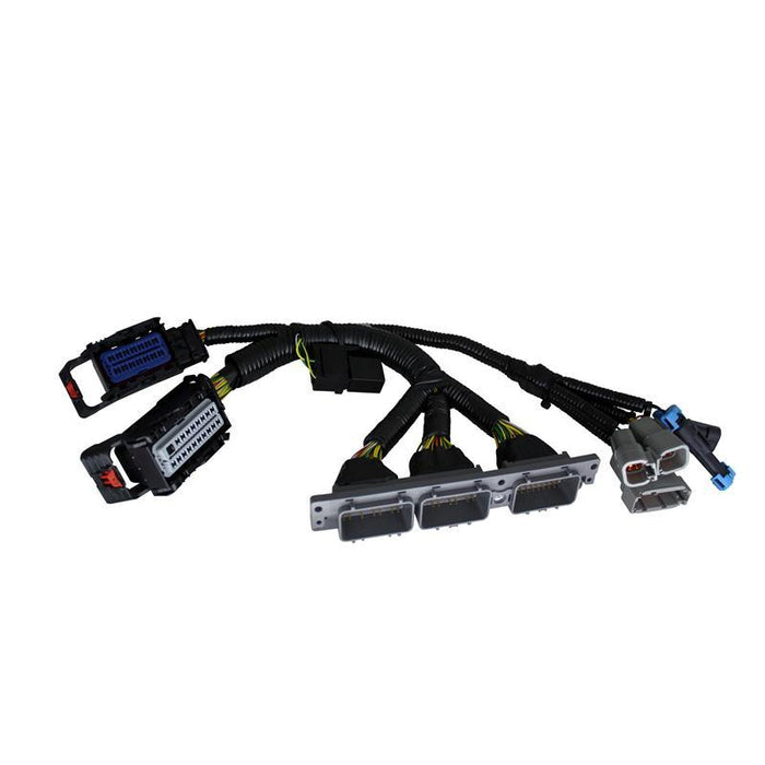 AEM DTM-Style 6-Way Plug Connector Kit