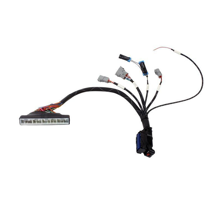 AEM Infinity-6/8h Plug & Play Jumper Harness 2001-2005 Honda K-Series Engines