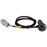 AEM 12V AEMnet Power Cable