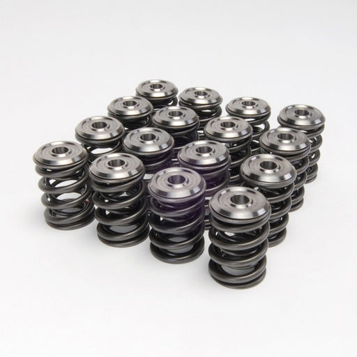 Skunk2 Alpha Valve Springs & Retainers Kit - B Series-Valve Springs-Speed Science