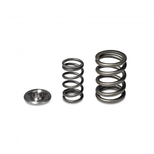 Skunk2 Alpha Valve Spring & Retainer Kit - H/F Series-Valve Springs-Speed Science