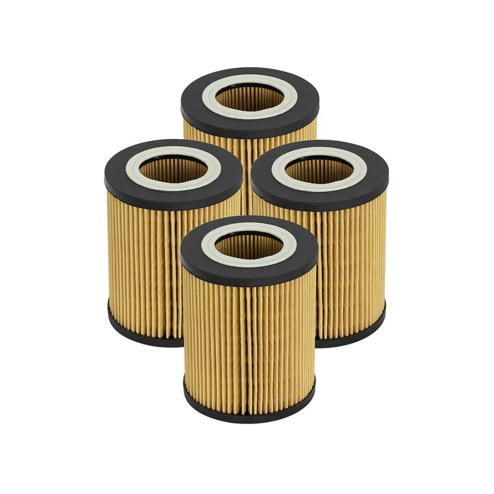 aFe Power Pro Guard D2 Oil Filter BMW Gas Cars 96-06 L6