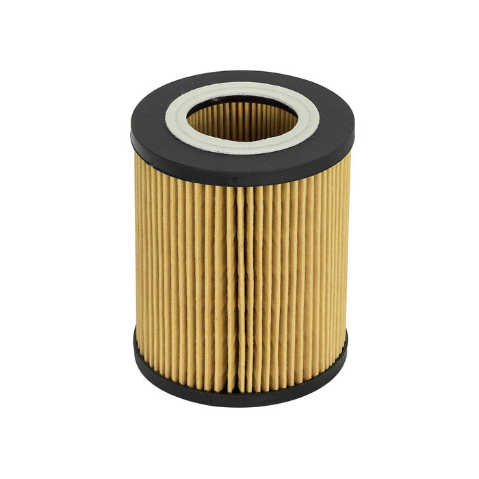 aFe Power Pro Guard D2 Oil Filter BMW Gas Cars 96-06 L6