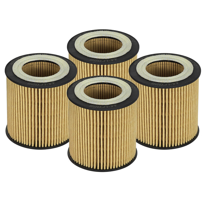 aFe Power Pro Guard D2 Oil Filter BMW Cars 06-19 L6-3.0L (t) N54/N55