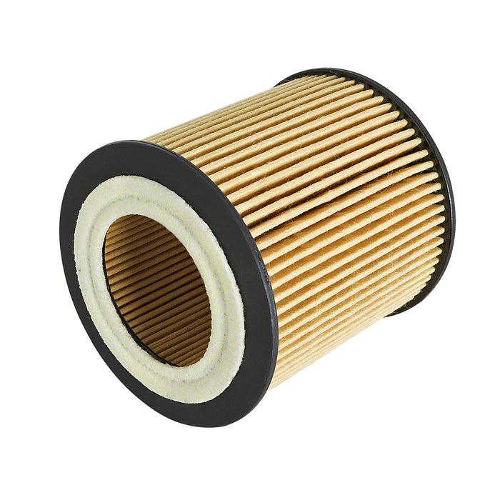 aFe Power Pro Guard D2 Oil Filter BMW Cars 06-19 L6-3.0L (t) N54/N55