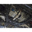 aFe Power Takeda 3 IN 304 Stainless Steel Mid-Pipe Honda Civic Type R 17-20 L4-2.0L (t)