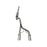 aFe Power Rebel Series 2-1/2 IN 409 Stainless Steel Cat-Back Exhaust System Jeep Wrangler (JK) 07-18 V6-3.6L/3.8L