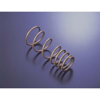 Tein 98-02 Audi S4 Sedan 4wd 6cyl. (Incl A4 2.8L) H Tech Springs