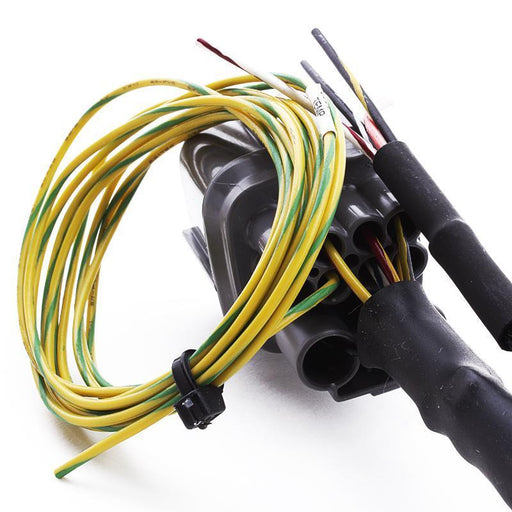 Hybrid Racing K-Swap Conversion Harness - EK 99-00