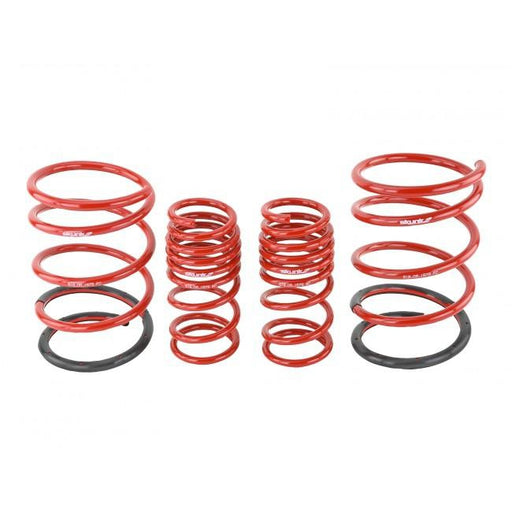 Skunk2 Lowering Springs - EP3