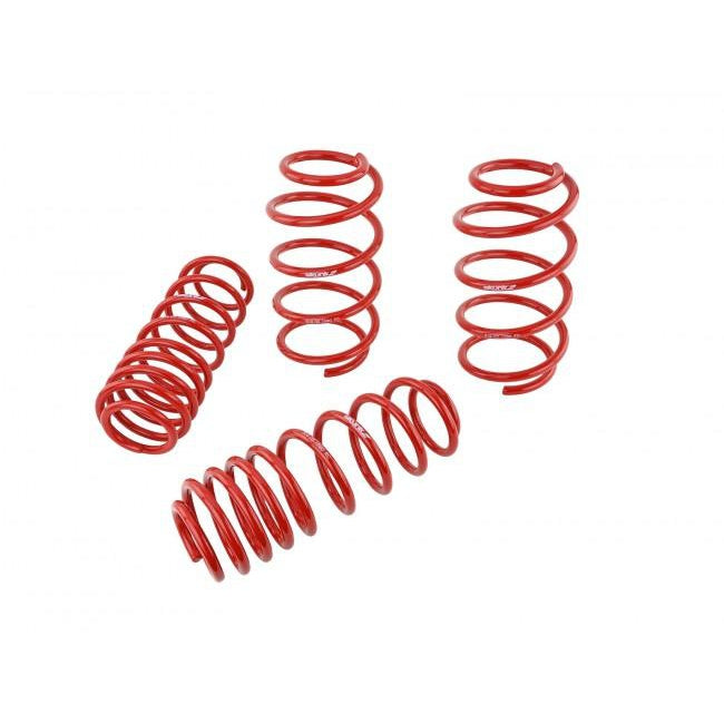 Skunk2 Lowering Springs - '07-'12 Civic Type R (FN2)