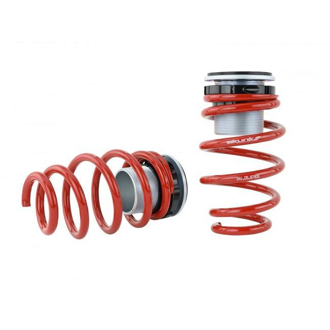 Skunk2 Pro ST Coilovers '17-'20 Civic Sport Coupe / Sedan