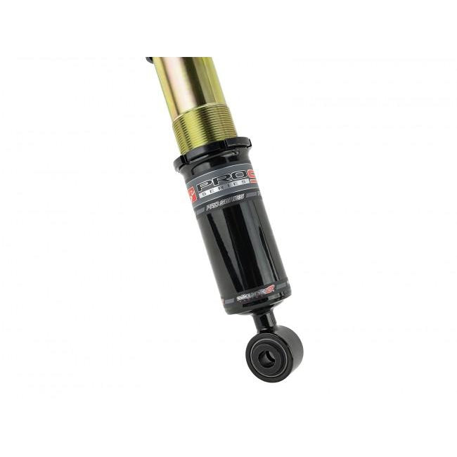 Skunk2 Pro ST Coilovers '17-'20 Civic Sport Coupe / Sedan