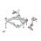 Hardrace Front Lower Arm Bush, Rear Nissan, Altima, Murano, Teana, J32 08-13, L32A 08-13, Z51 09-14