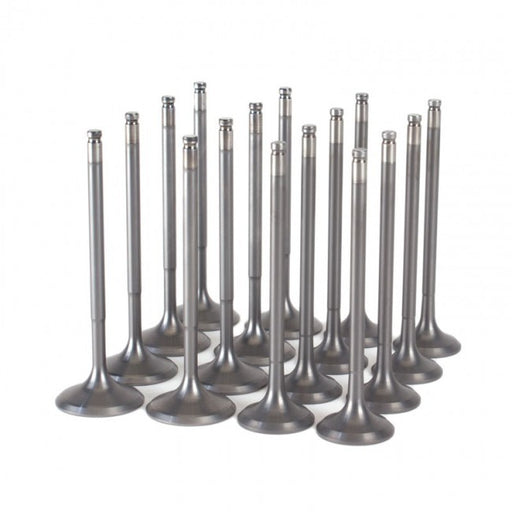 Skunk2 Ultra Valves - Hi Comp K Series - 35mm/ 30mm-Valves-Speed Science