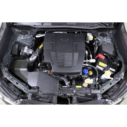 AEM 18-19 Subaru Forester 2.5L F/I Cold Air Intake System