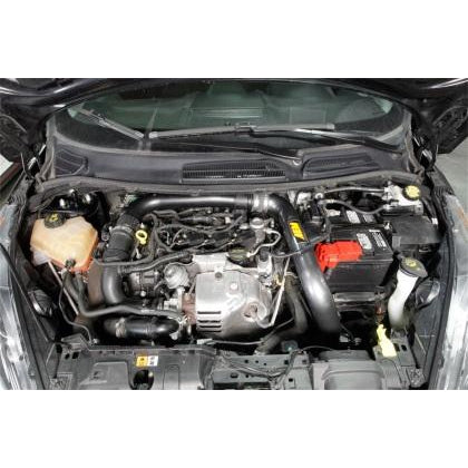 AEM C.A.S 14-16 Ford Fiesta L3-1.0L F/I Cold Air Intake