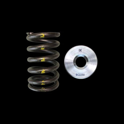 Brian Crower Nissan TB48 Single Spring/Titanium Retainer Kit