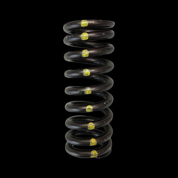 Brian Crower Valve Spring - SINGLE (Honda R18)