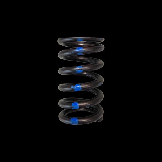 Brian Crower Valve - Set of 12 (Nissan RB26DETT)