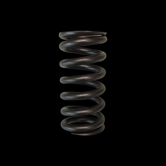 Brian Crower Valve Spring - Single (Toyota 2ZZGE)