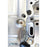 PRL K24Z7 and K24Z3 PRB / Type-S DIY Oil Pump Swap Kit