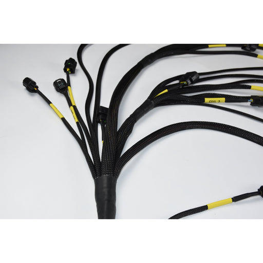 Speed Science Tucked Engine Harness - K Series