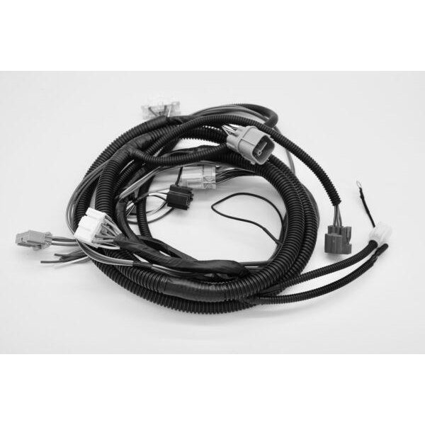 Hasport K Series Wiring Conversion for 99-00 Civic