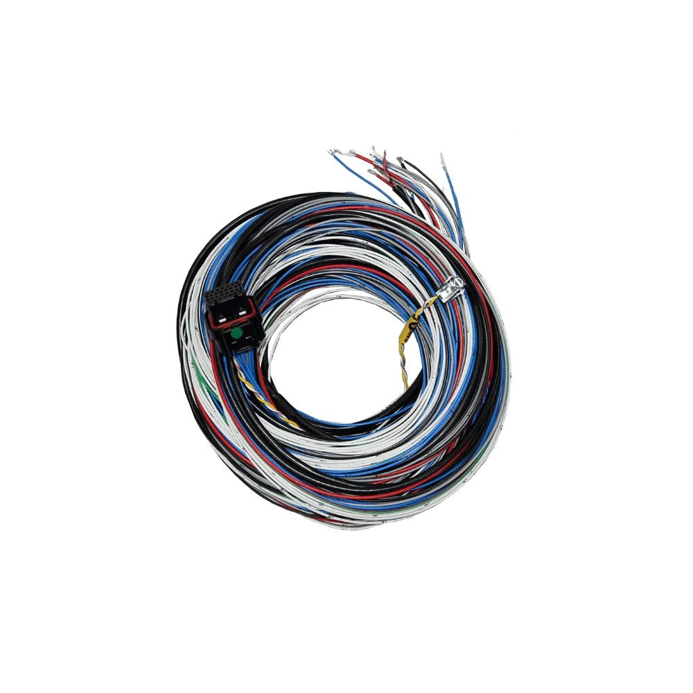 FuelTech FT450/FT550 A Unterminated Harness