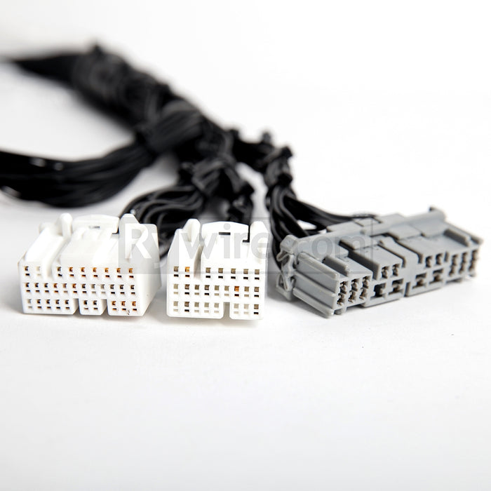 Rywire Budget Tucked K-Series Engine Harness