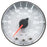 AutoMeter 2-1/16" Fuel Pressure, 0-30 Psi, Stepper Motor, Spek-Pro, White Dial, Chrome Bezel, Flat Antiglare Lens